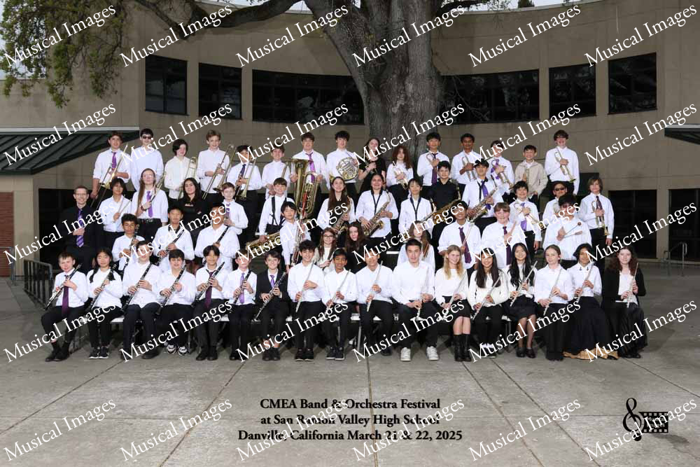 Musical Images
